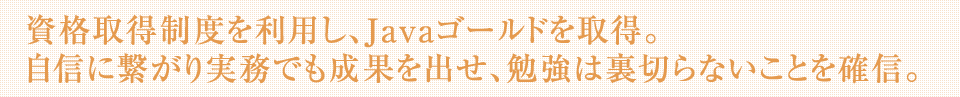 資格取得制度を利用し、Javaゴールドを取得。自信に繋がり実務でも成果を出せ、勉強は裏切らないことを確信。